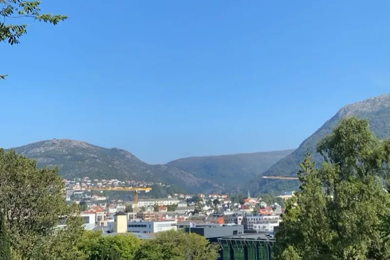 A terraced hillside cemetery above Bergen, headstones among trees with the rooftops of the city and the harbour below.